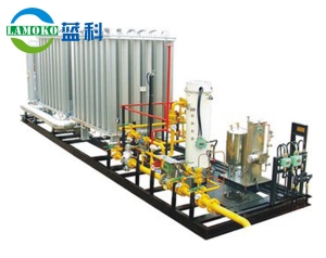 Lng gasification skid