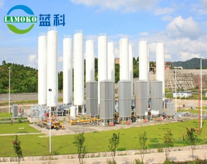 Lng气化站